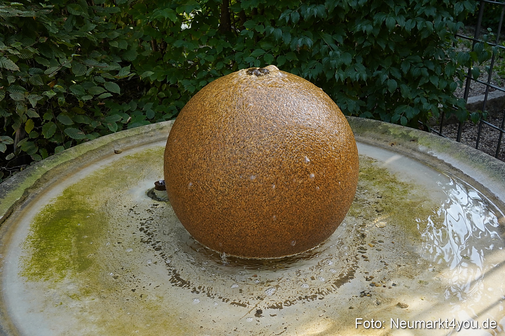 Life Side Galerie 2023 0045