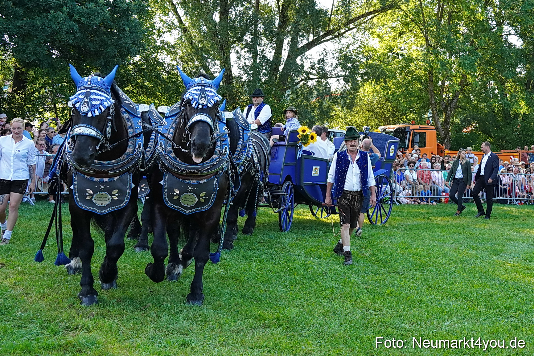 Pferde und Fohlenschau JURA Volksfest 2023 0002