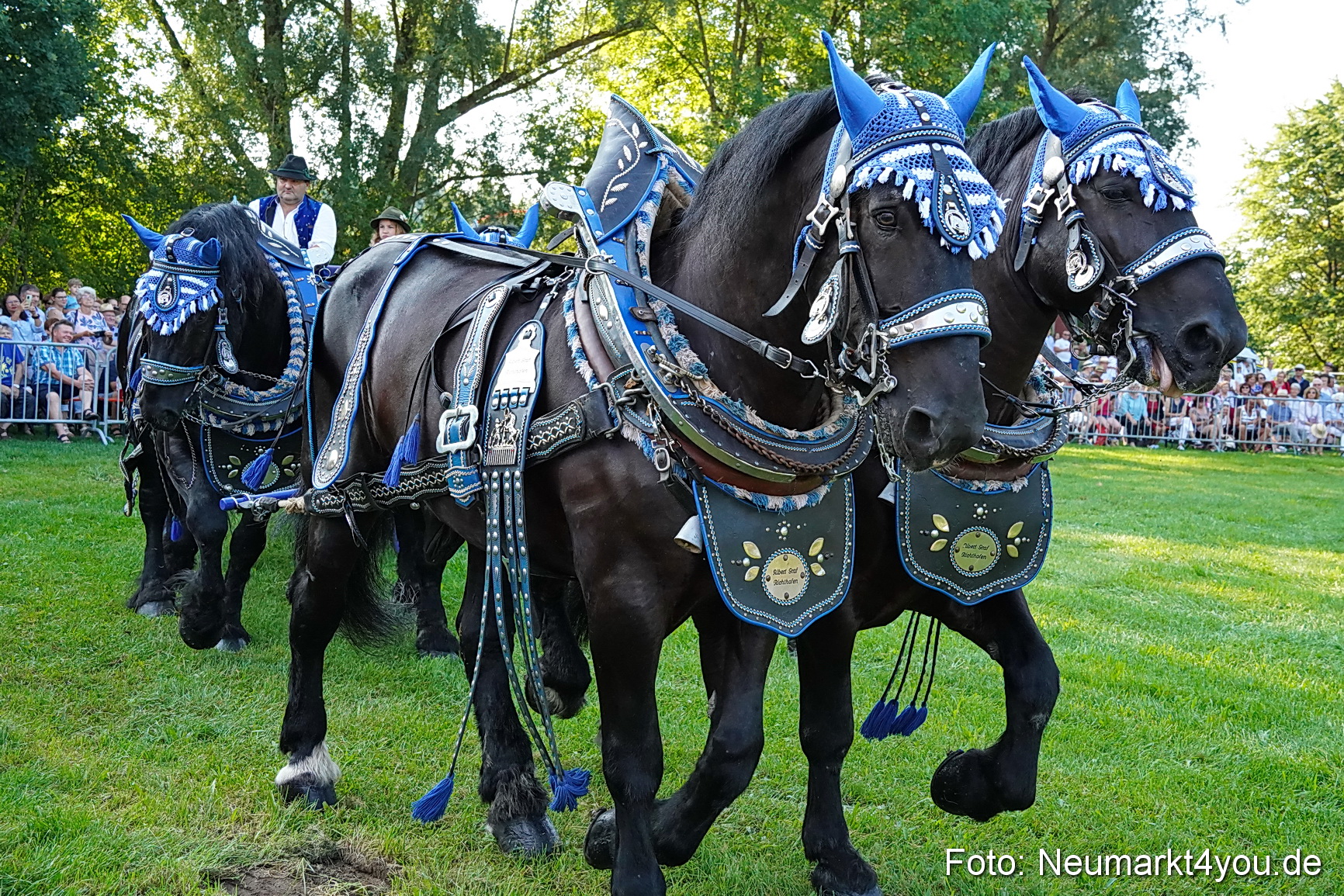 Pferde und Fohlenschau JURA Volksfest 2023 0003