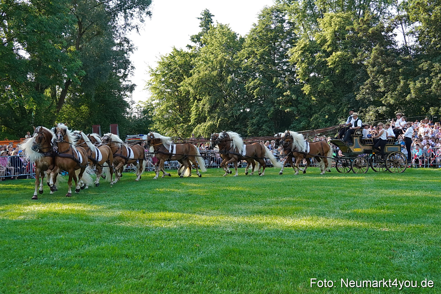 Pferde und Fohlenschau JURA Volksfest 2023 0008