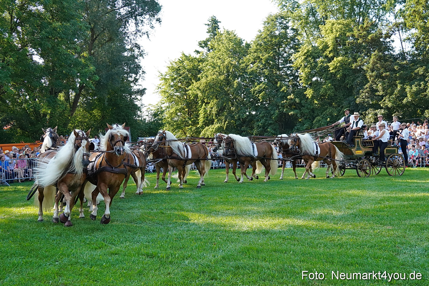 Pferde und Fohlenschau JURA Volksfest 2023 0016