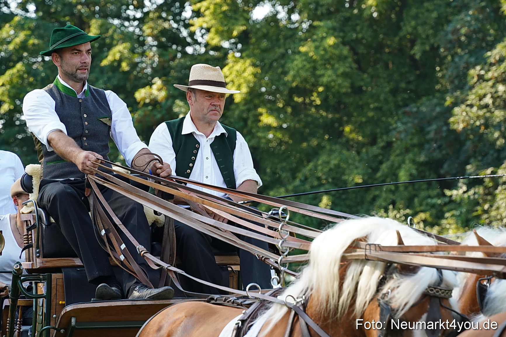 Pferde und Fohlenschau JURA Volksfest 2023 0018