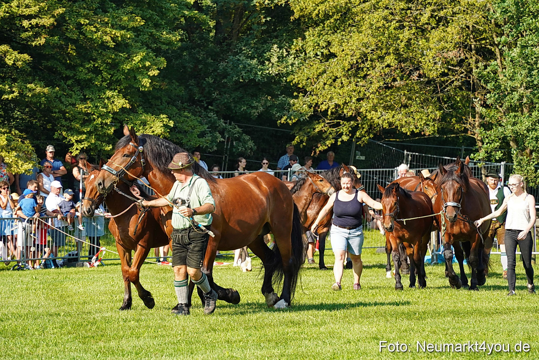 Pferde und Fohlenschau JURA Volksfest 2023 0021