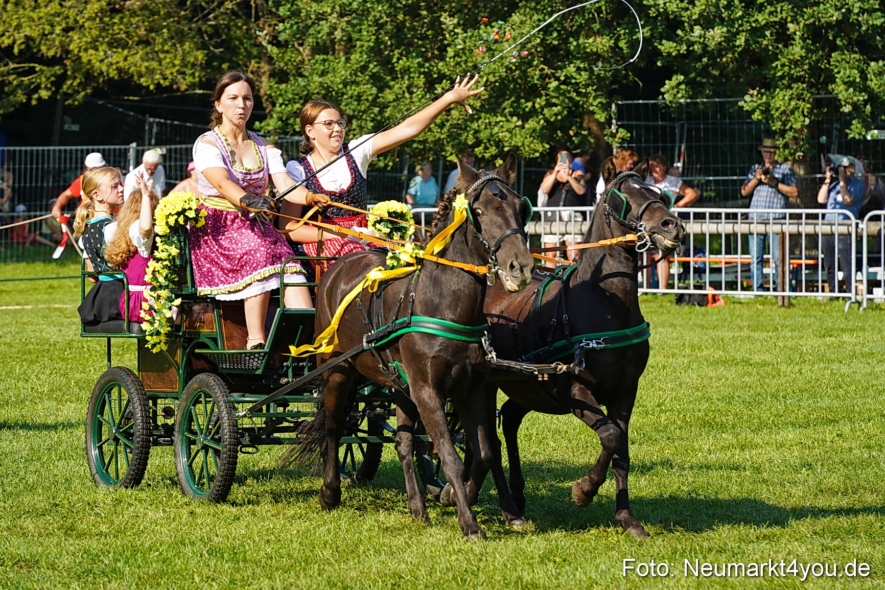Pferde und Fohlenschau JURA Volksfest 2023 0032