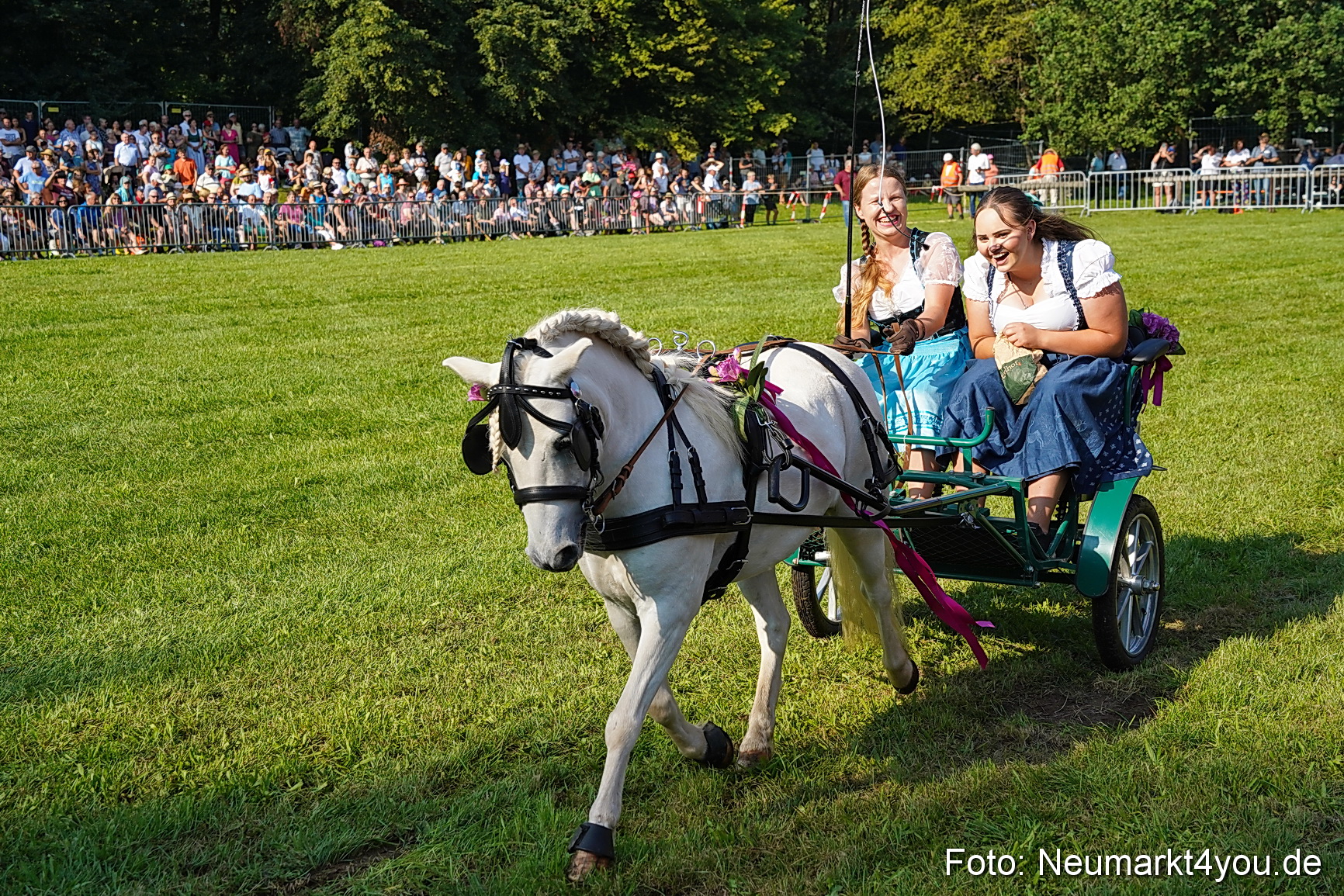 Pferde und Fohlenschau JURA Volksfest 2023 0035