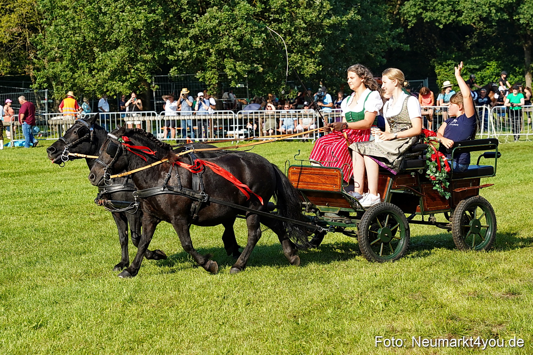 Pferde und Fohlenschau JURA Volksfest 2023 0037