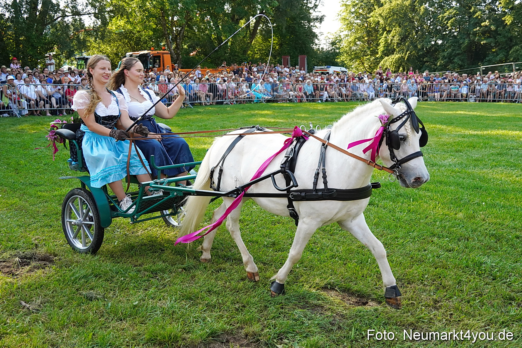 Pferde und Fohlenschau JURA Volksfest 2023 0039