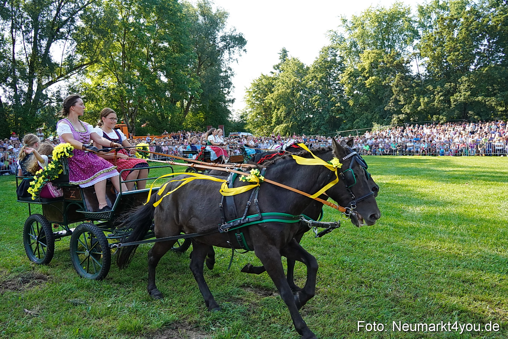 Pferde und Fohlenschau JURA Volksfest 2023 0041