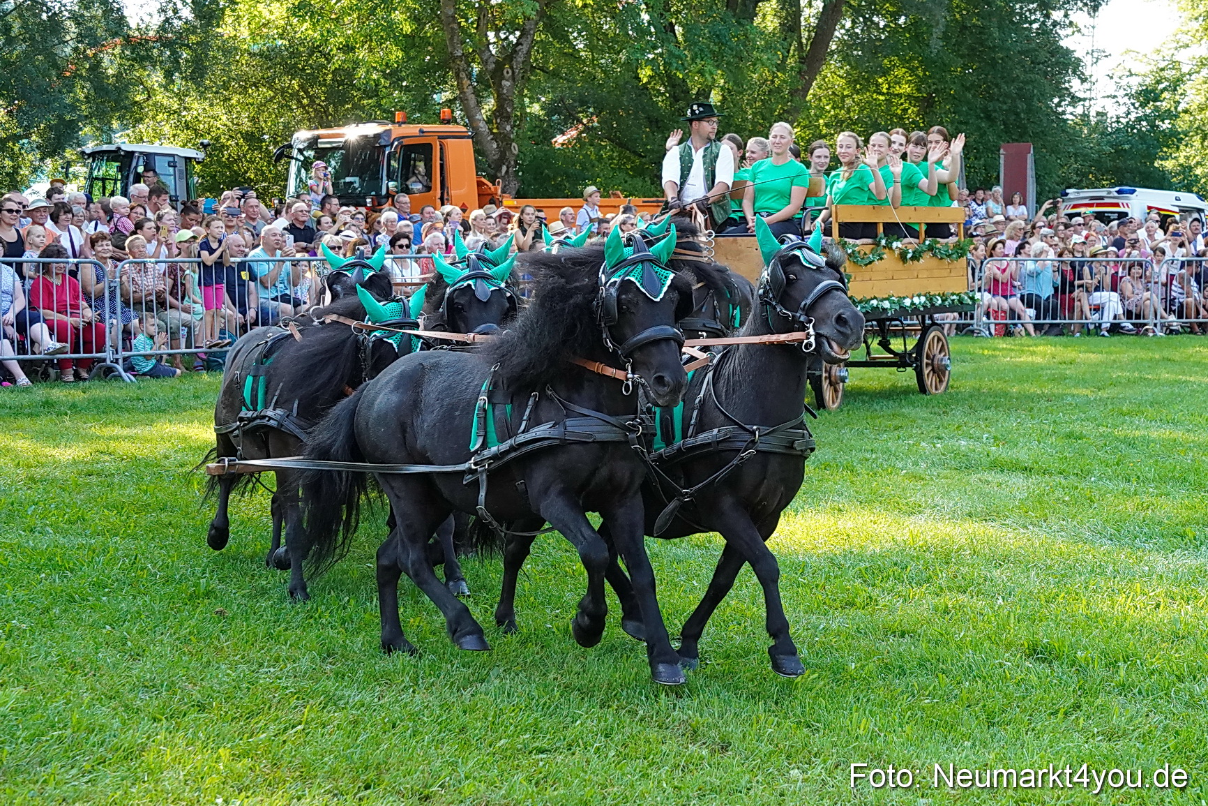 Pferde und Fohlenschau JURA Volksfest 2023 0043