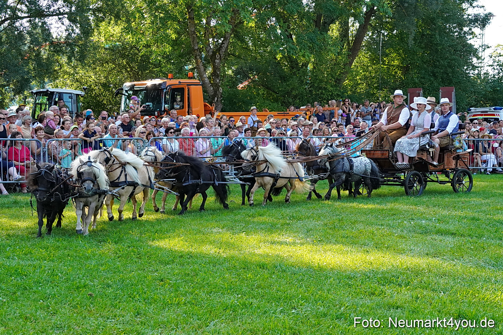 Pferde und Fohlenschau JURA Volksfest 2023 0045