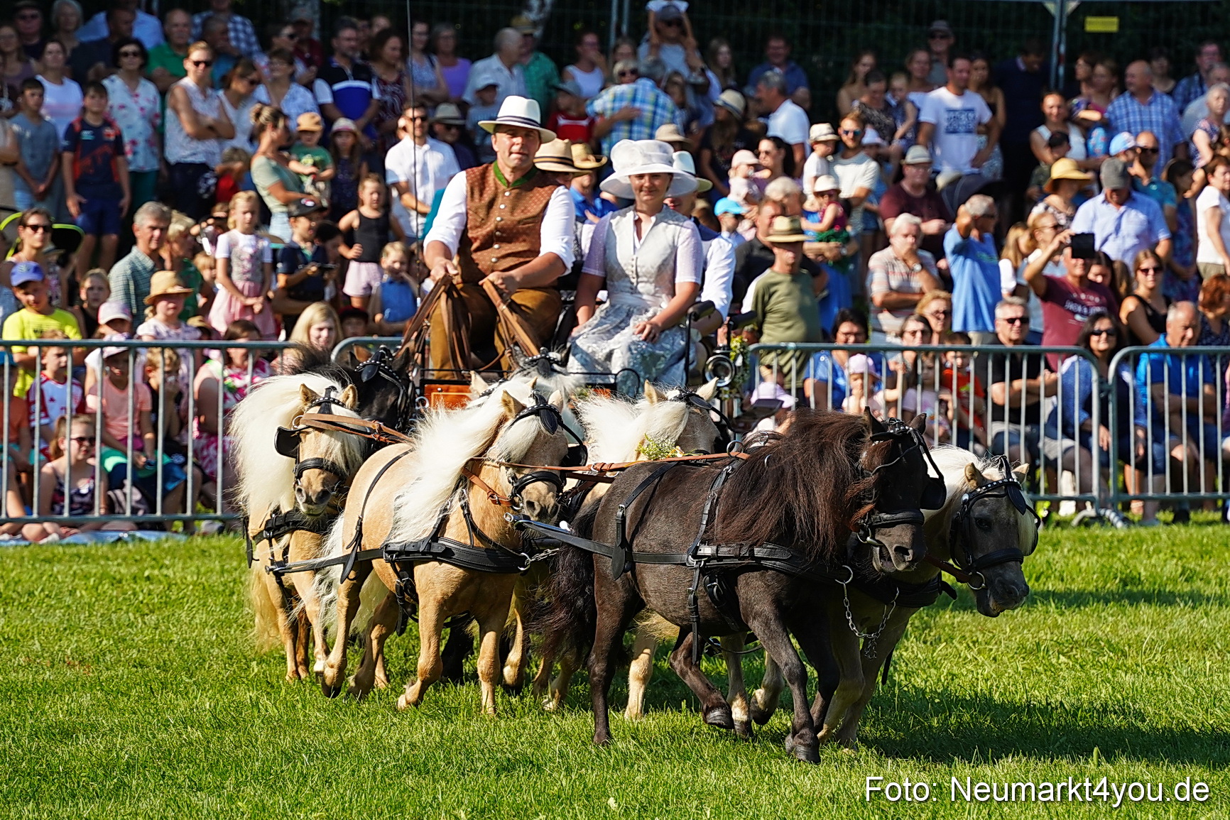 Pferde und Fohlenschau JURA Volksfest 2023 0051