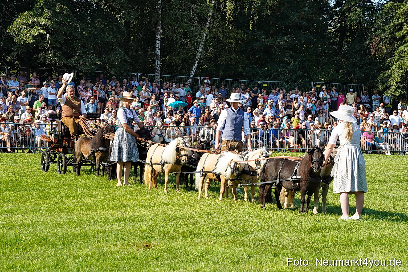 Pferde und Fohlenschau JURA Volksfest 2023 0055