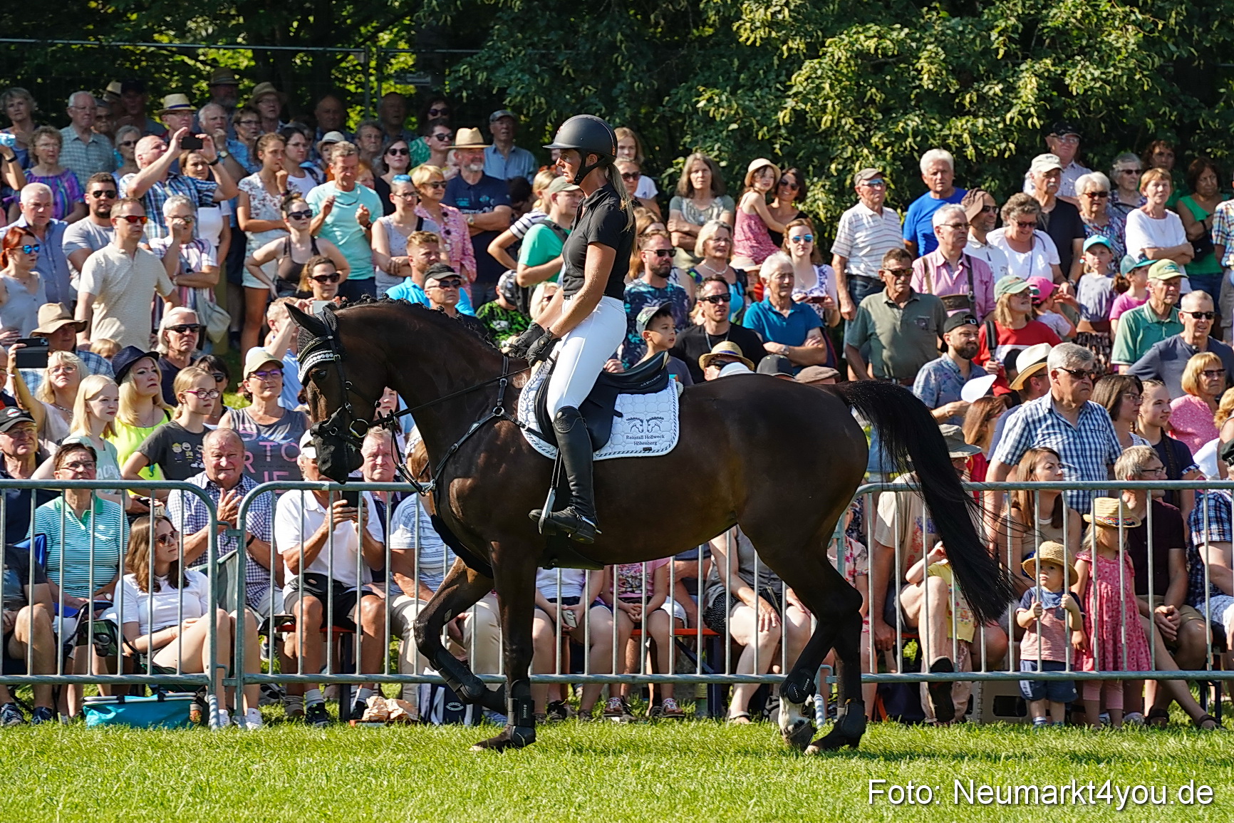 Pferde und Fohlenschau JURA Volksfest 2023 0057