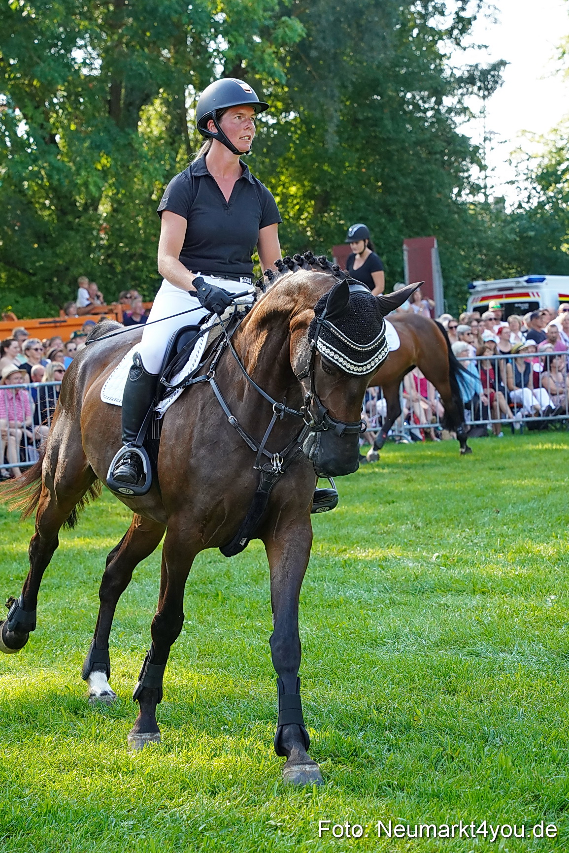 Pferde und Fohlenschau JURA Volksfest 2023 0058