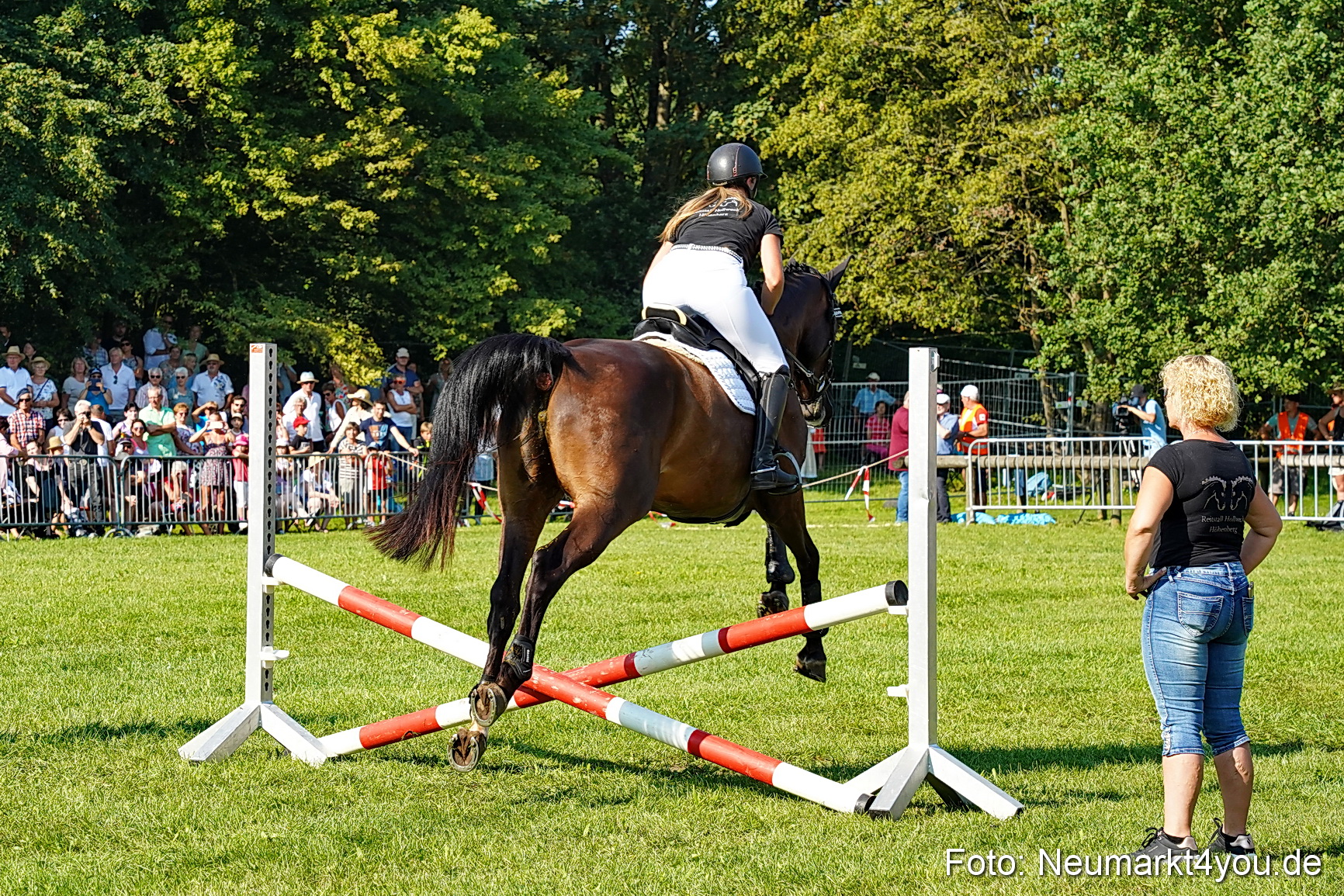 Pferde und Fohlenschau JURA Volksfest 2023 0060