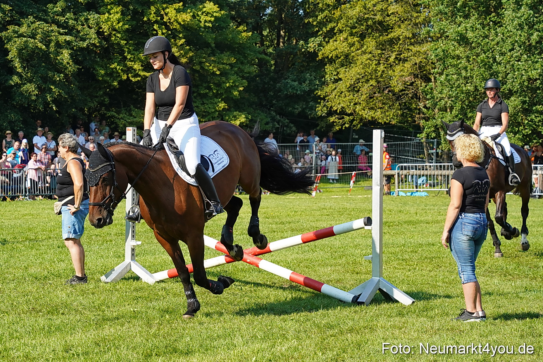 Pferde und Fohlenschau JURA Volksfest 2023 0061