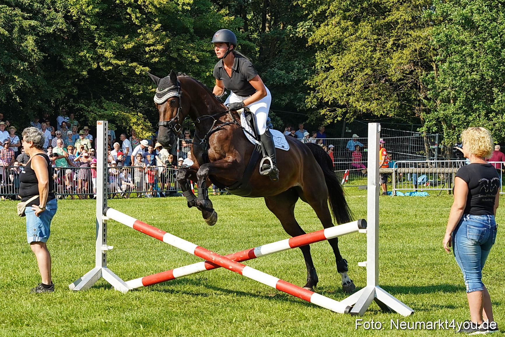 Pferde und Fohlenschau JURA Volksfest 2023 0062
