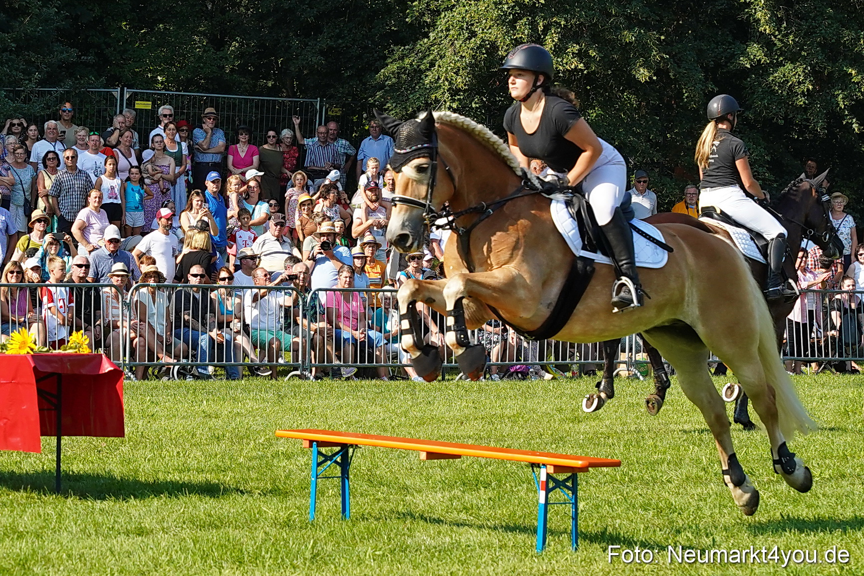 Pferde und Fohlenschau JURA Volksfest 2023 0063
