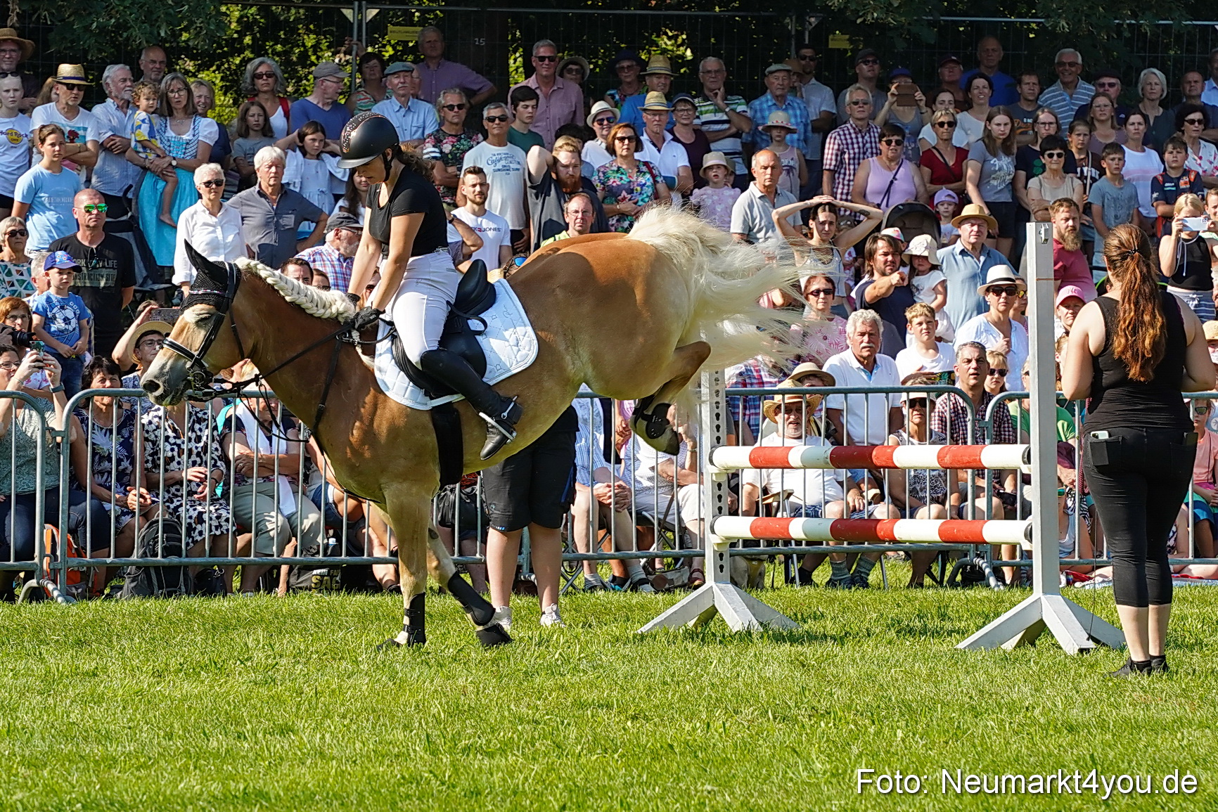 Pferde und Fohlenschau JURA Volksfest 2023 0064
