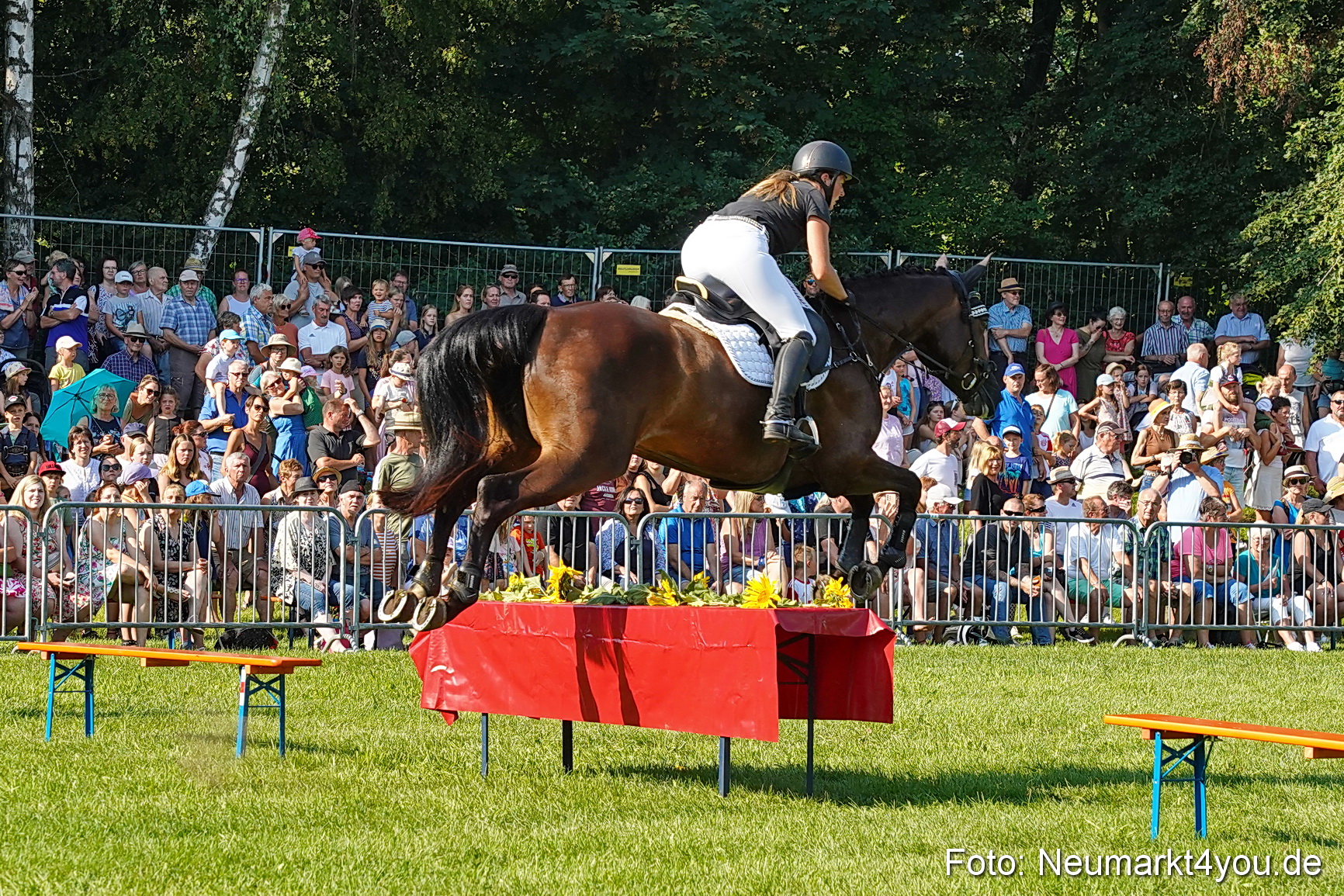 Pferde und Fohlenschau JURA Volksfest 2023 0065
