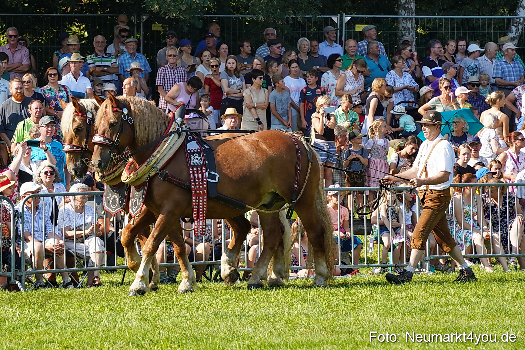 Pferde und Fohlenschau JURA Volksfest 2023 0067
