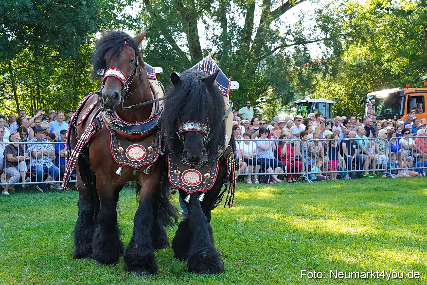 Pferde und Fohlenschau JURA Volksfest 2023 0068