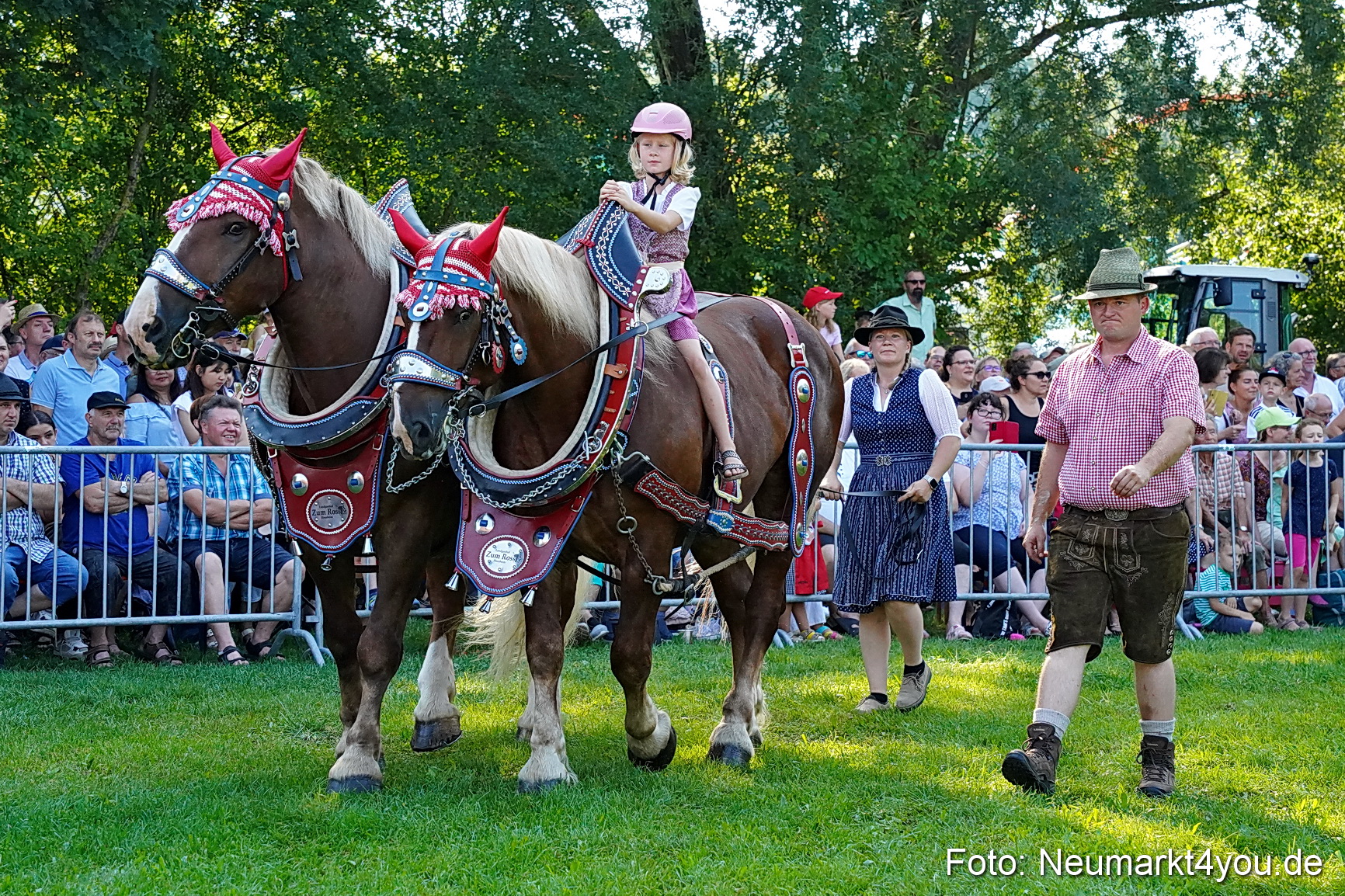 Pferde und Fohlenschau JURA Volksfest 2023 0072