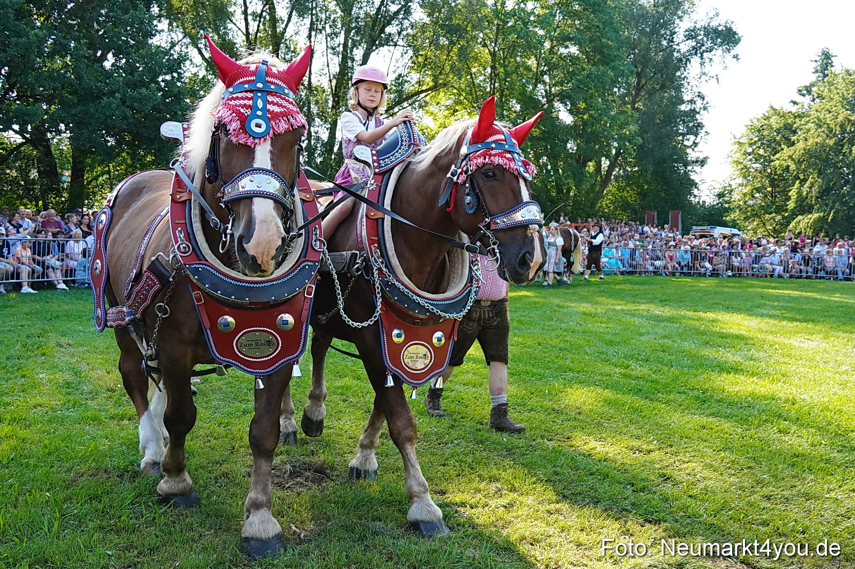 Pferde und Fohlenschau JURA Volksfest 2023 0073