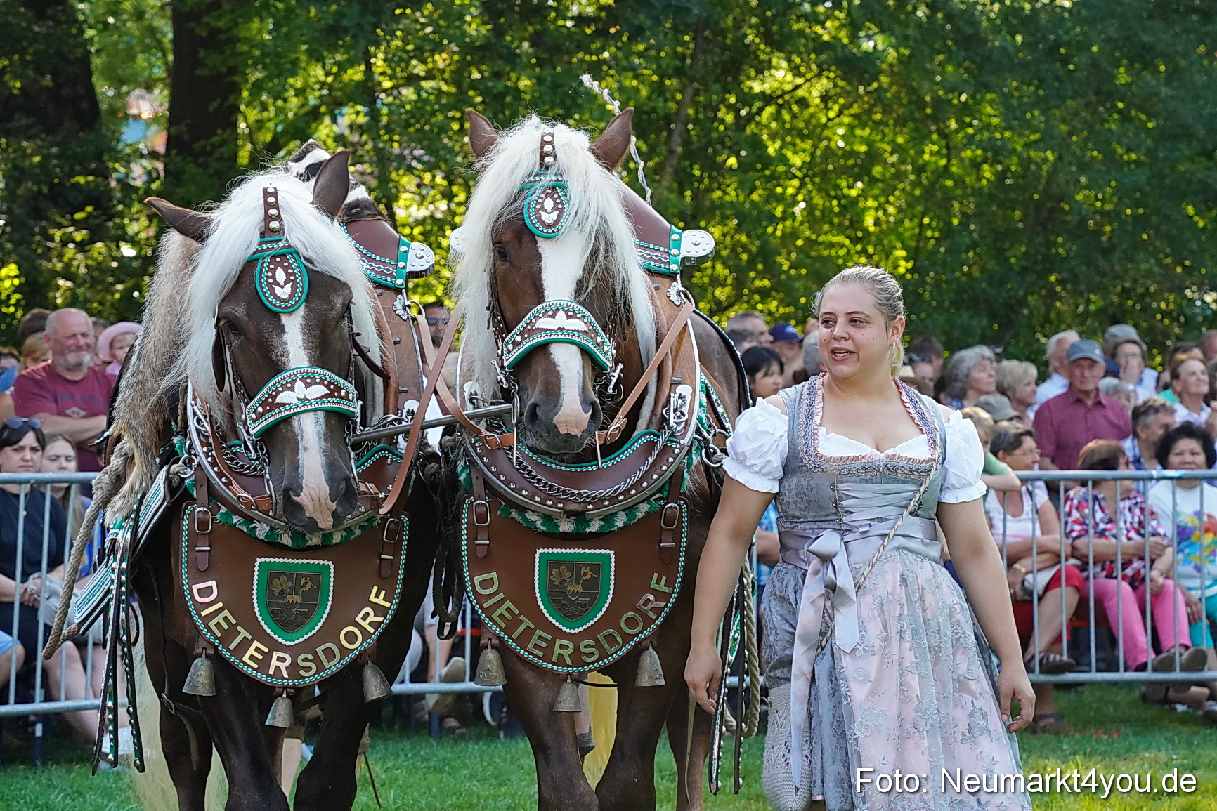 Pferde und Fohlenschau JURA Volksfest 2023 0074