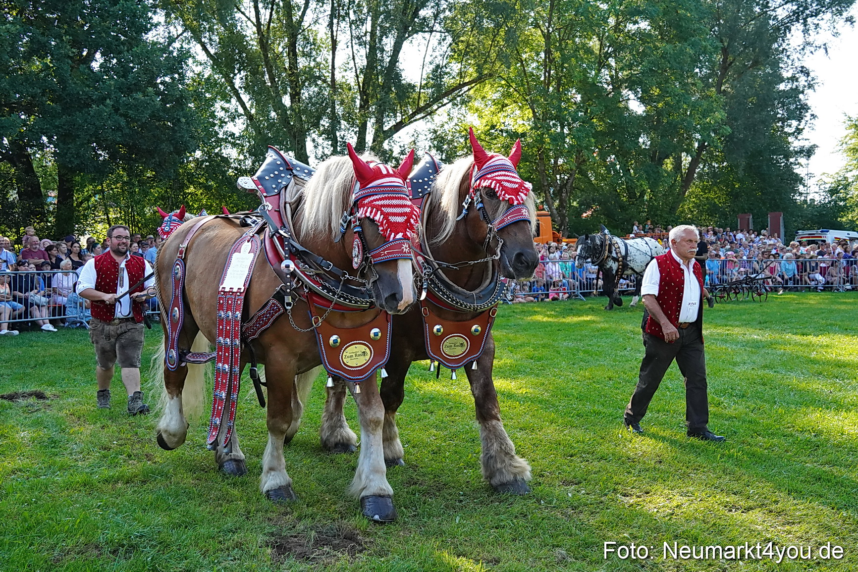 Pferde und Fohlenschau JURA Volksfest 2023 0075