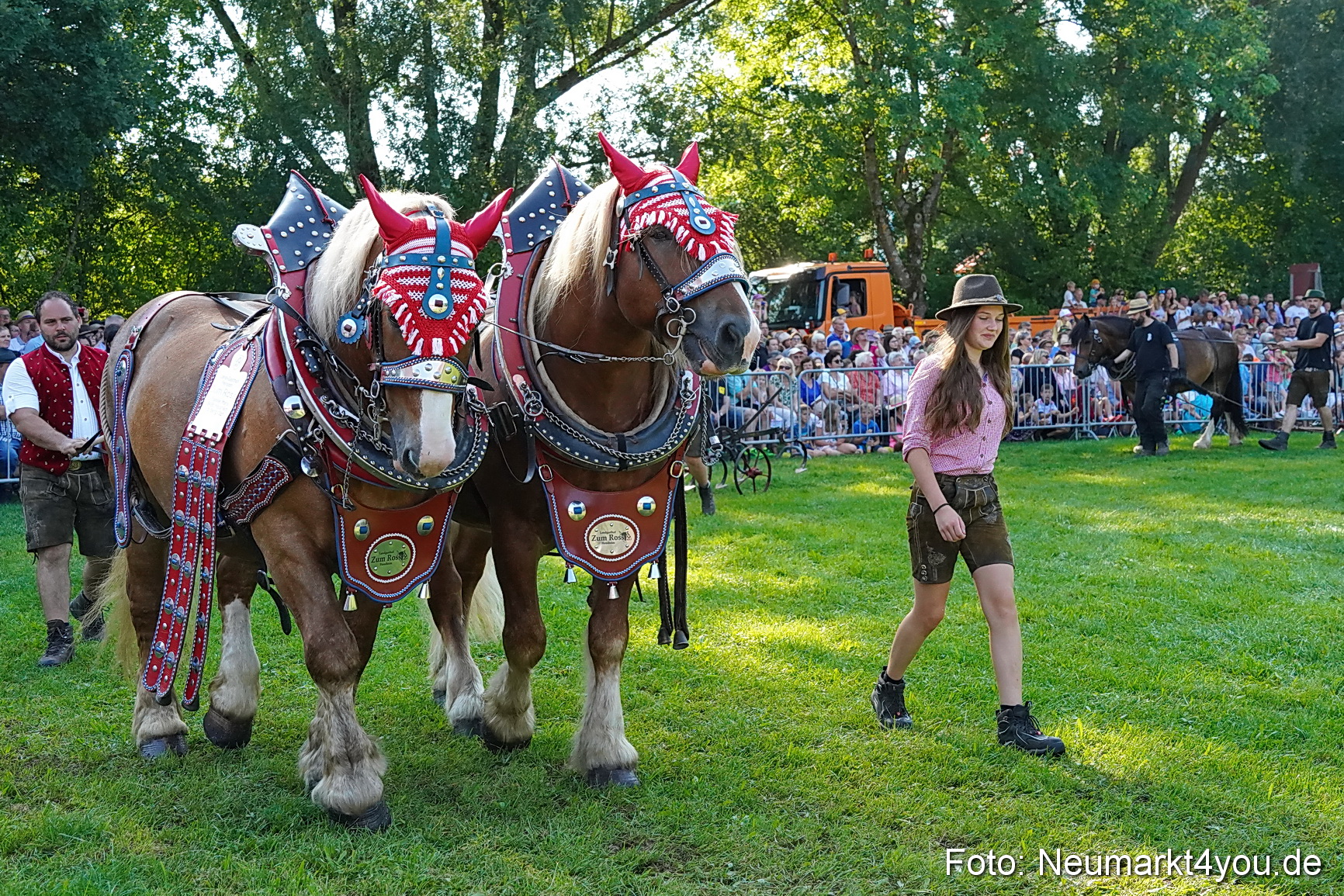 Pferde und Fohlenschau JURA Volksfest 2023 0076
