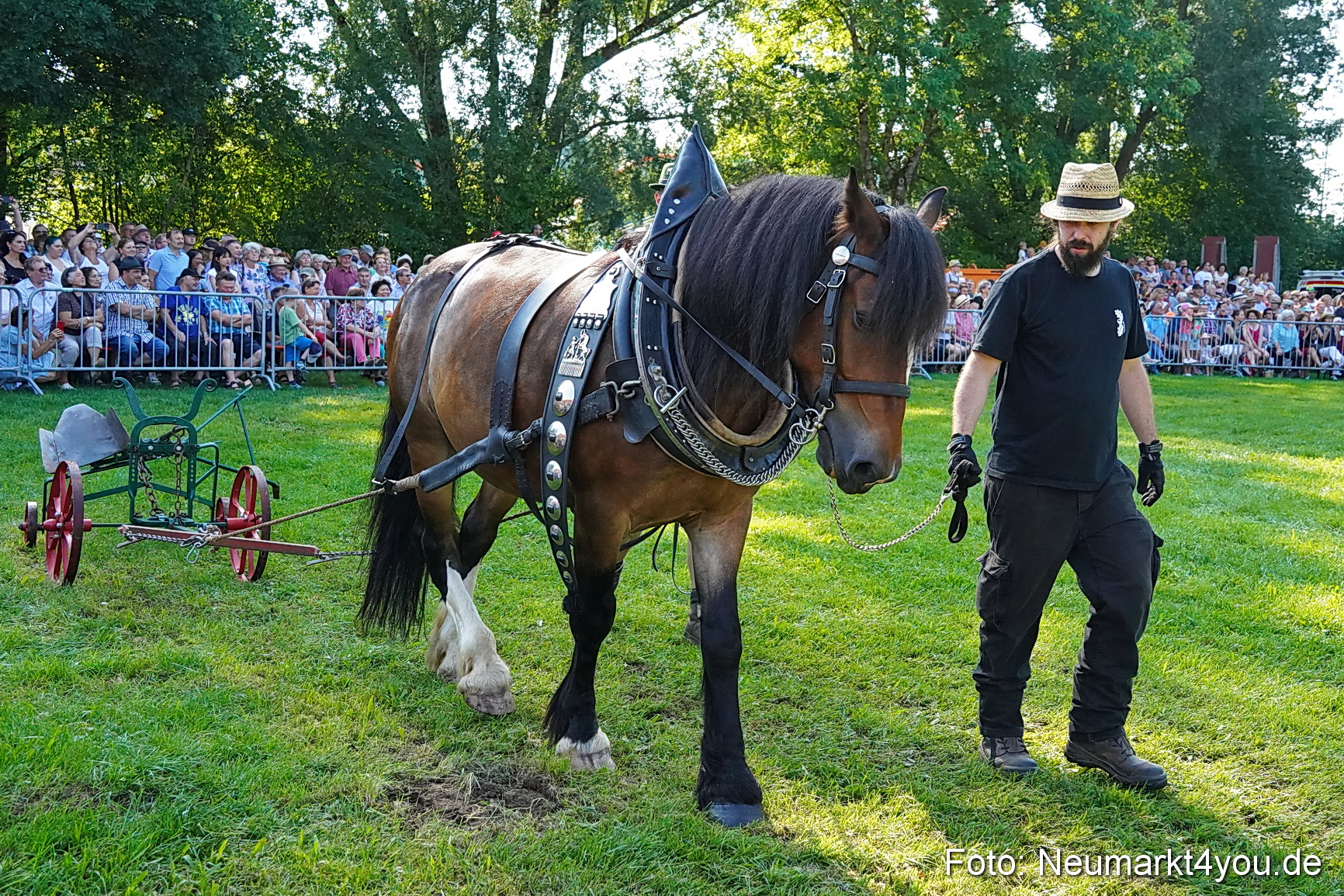 Pferde und Fohlenschau JURA Volksfest 2023 0078