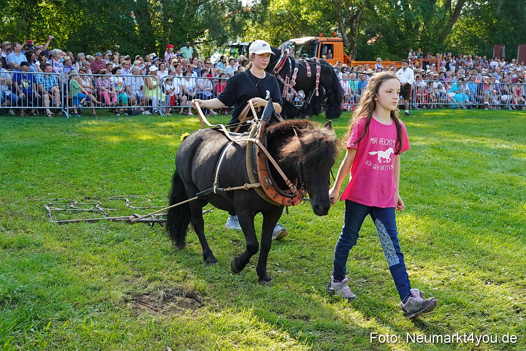 Pferde und Fohlenschau JURA Volksfest 2023 0079