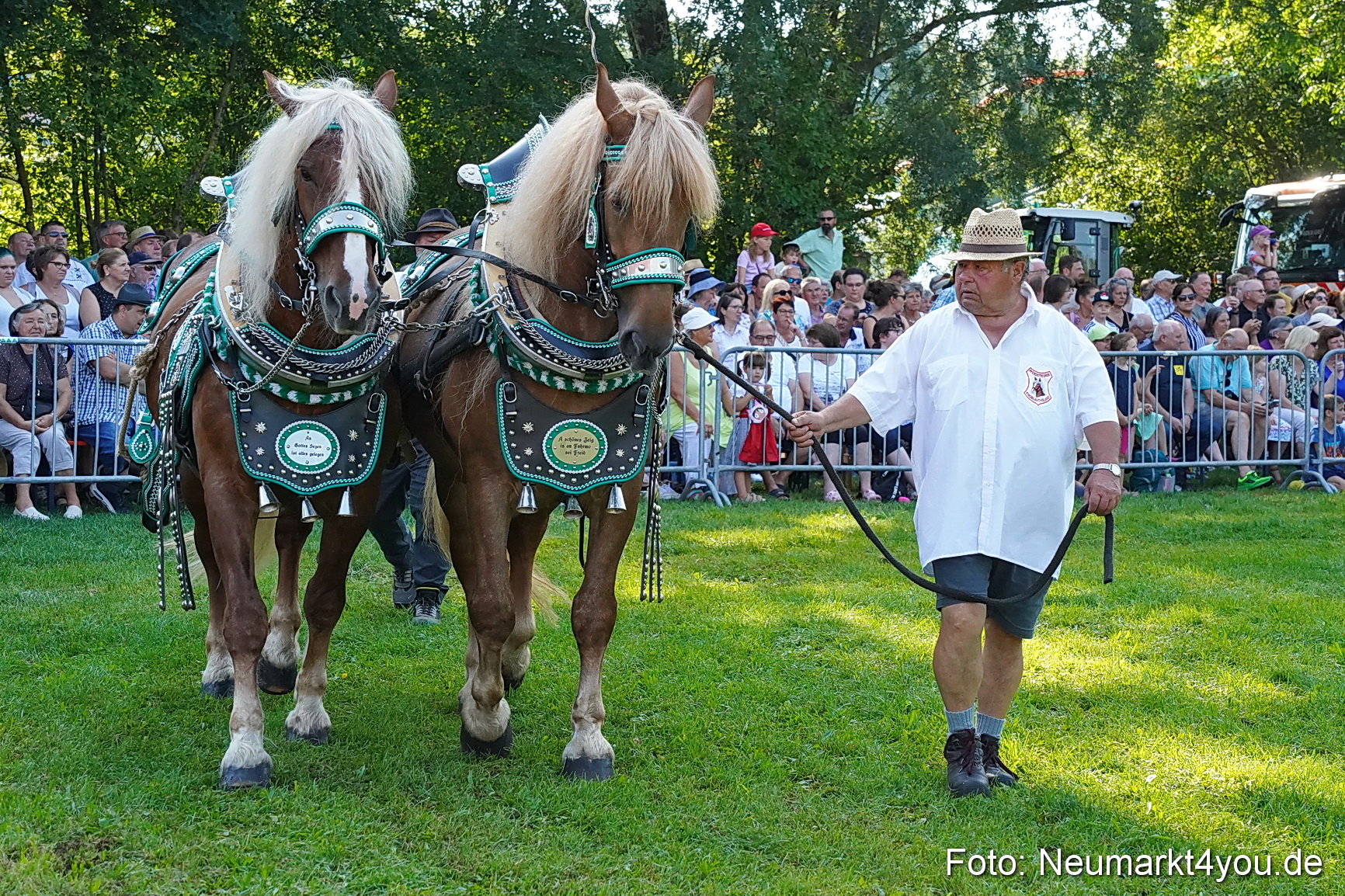 Pferde und Fohlenschau JURA Volksfest 2023 0082