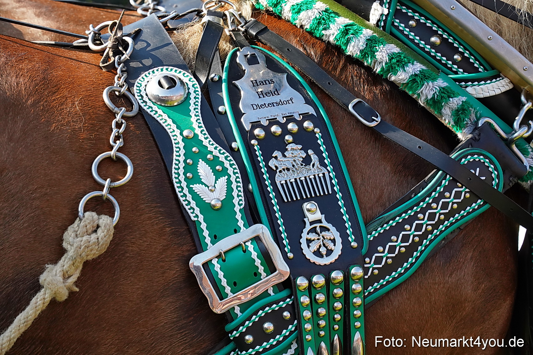 Pferde und Fohlenschau JURA Volksfest 2023 0083