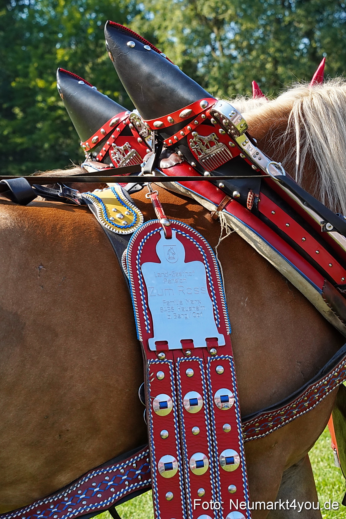 Pferde und Fohlenschau JURA Volksfest 2023 0084