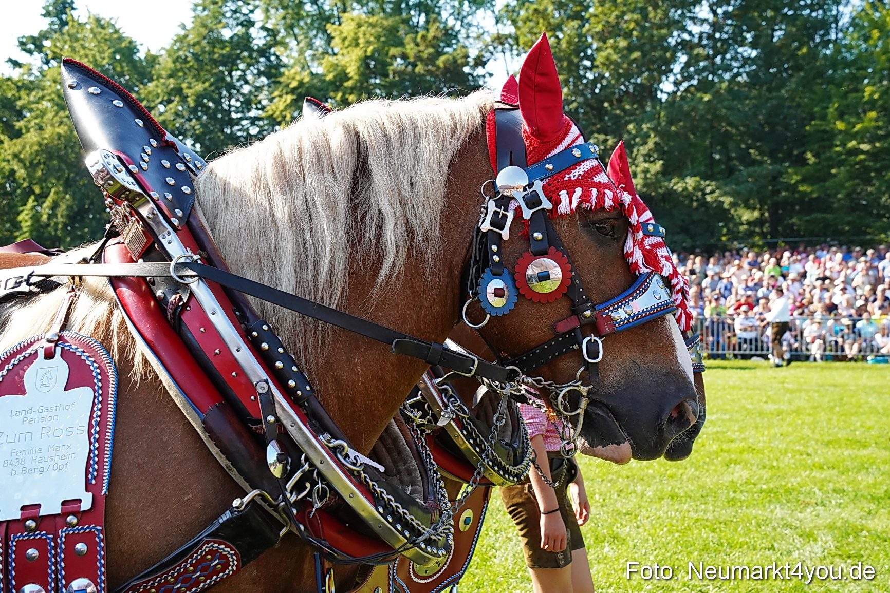 Pferde und Fohlenschau JURA Volksfest 2023 0086