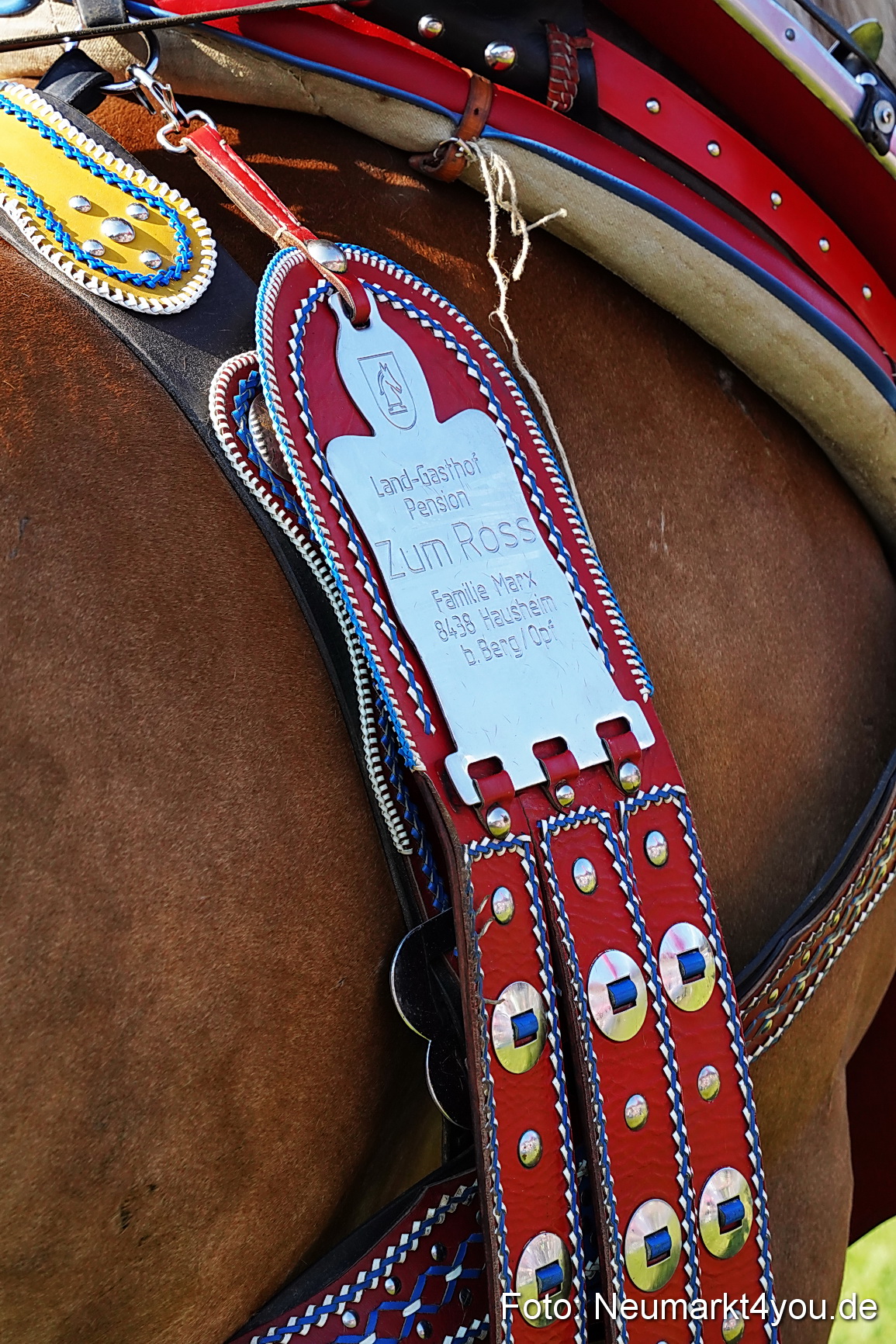 Pferde und Fohlenschau JURA Volksfest 2023 0088