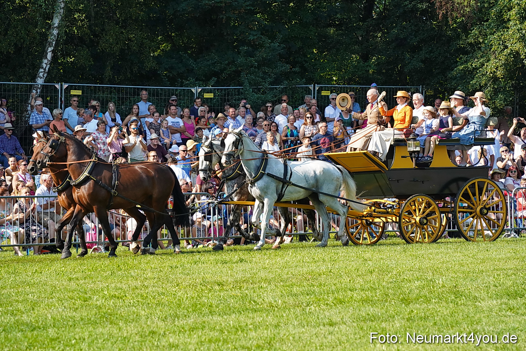 Pferde und Fohlenschau JURA Volksfest 2023 0089