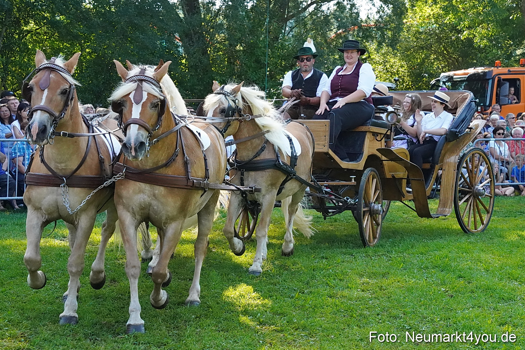 Pferde und Fohlenschau JURA Volksfest 2023 0091
