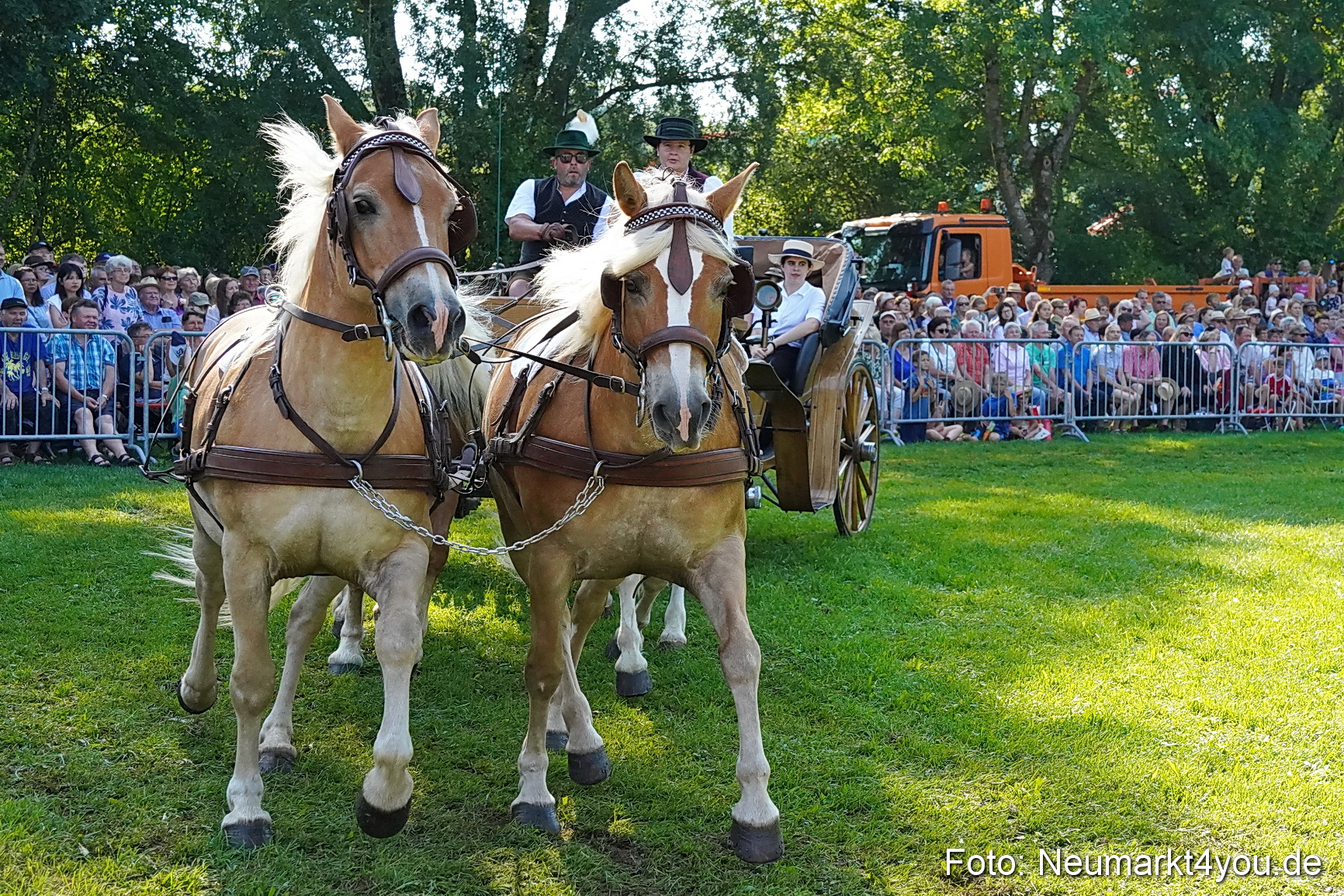 Pferde und Fohlenschau JURA Volksfest 2023 0096