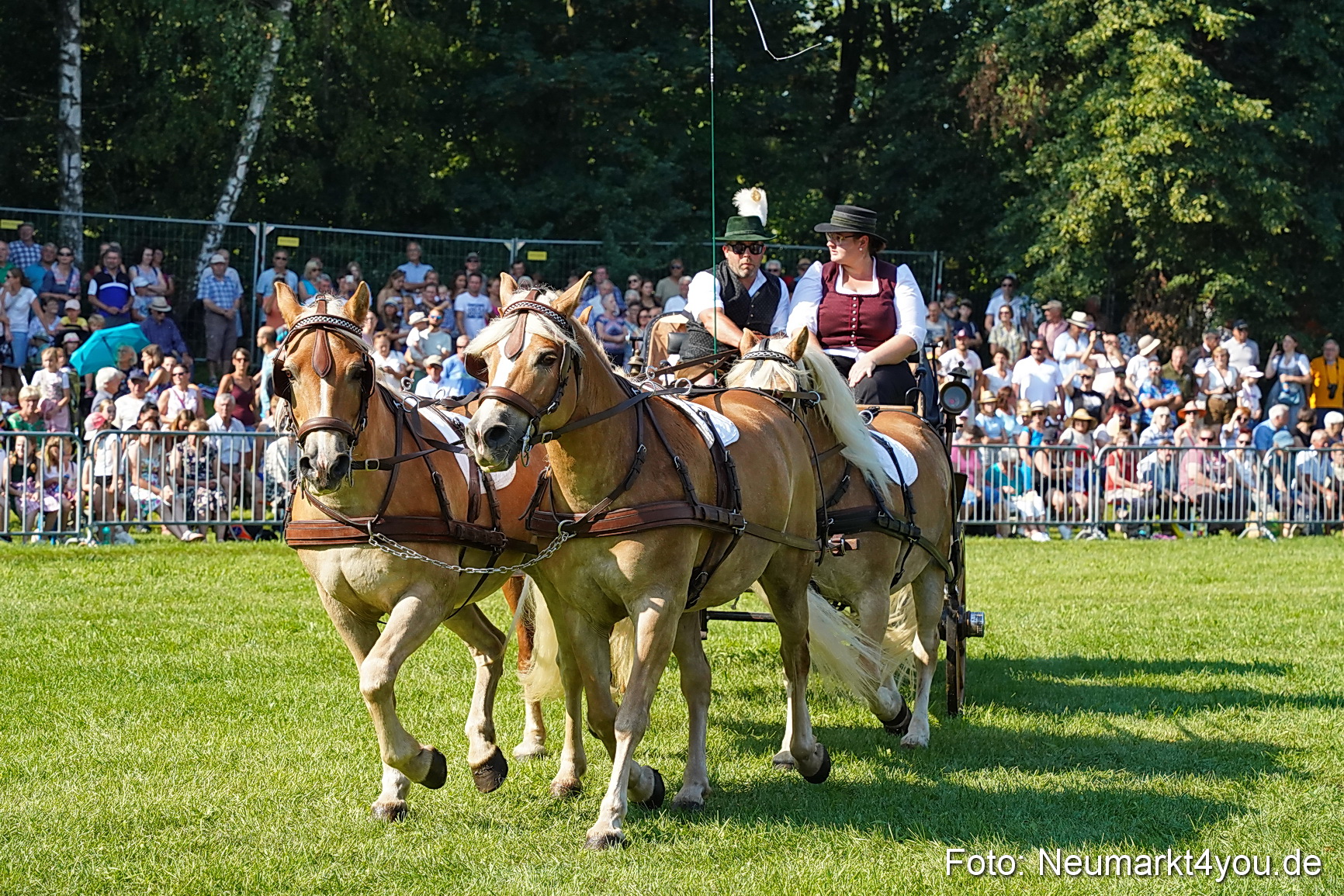 Pferde und Fohlenschau JURA Volksfest 2023 0097
