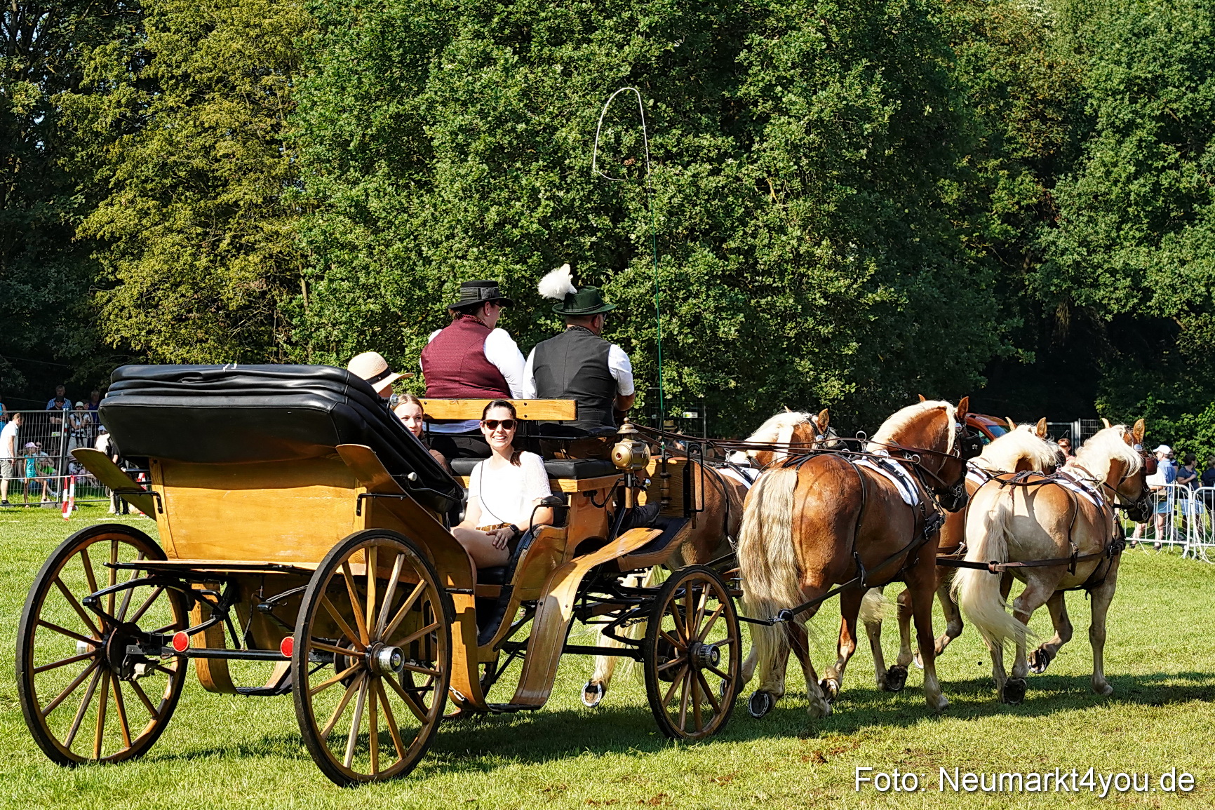Pferde und Fohlenschau JURA Volksfest 2023 0098