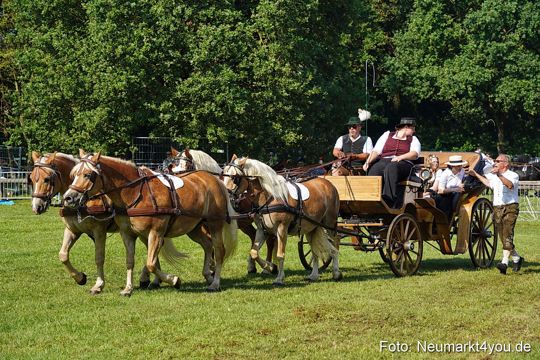 Pferde und Fohlenschau JURA Volksfest 2023 0099