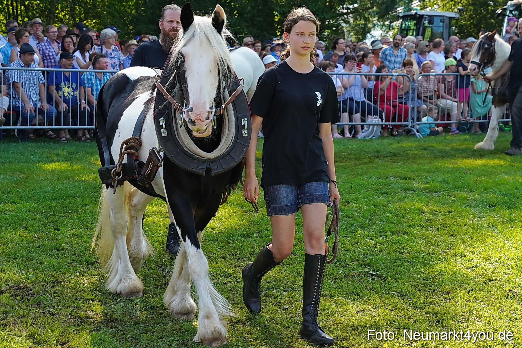 Pferde und Fohlenschau JURA Volksfest 2023 0102