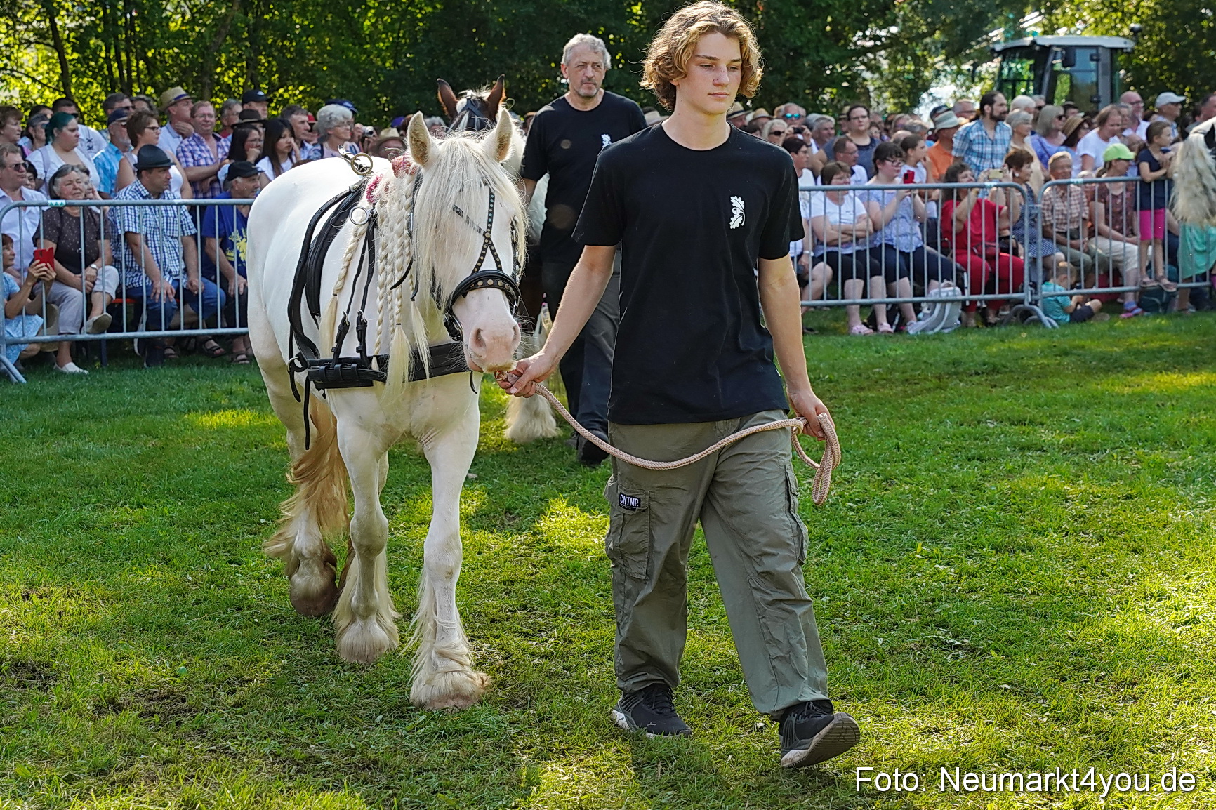 Pferde und Fohlenschau JURA Volksfest 2023 0103