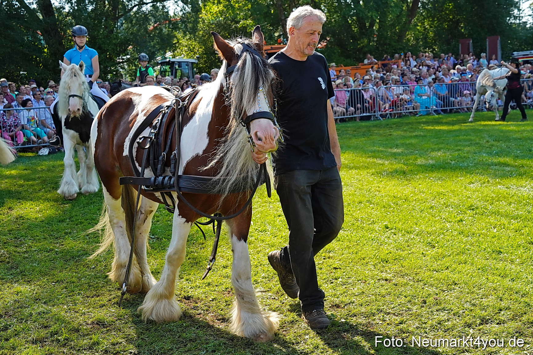 Pferde und Fohlenschau JURA Volksfest 2023 0104
