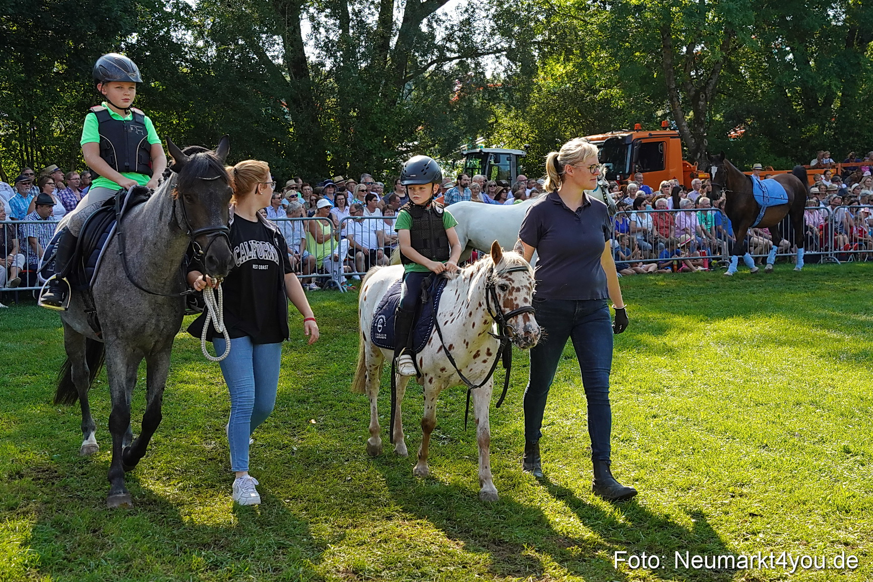 Pferde und Fohlenschau JURA Volksfest 2023 0105