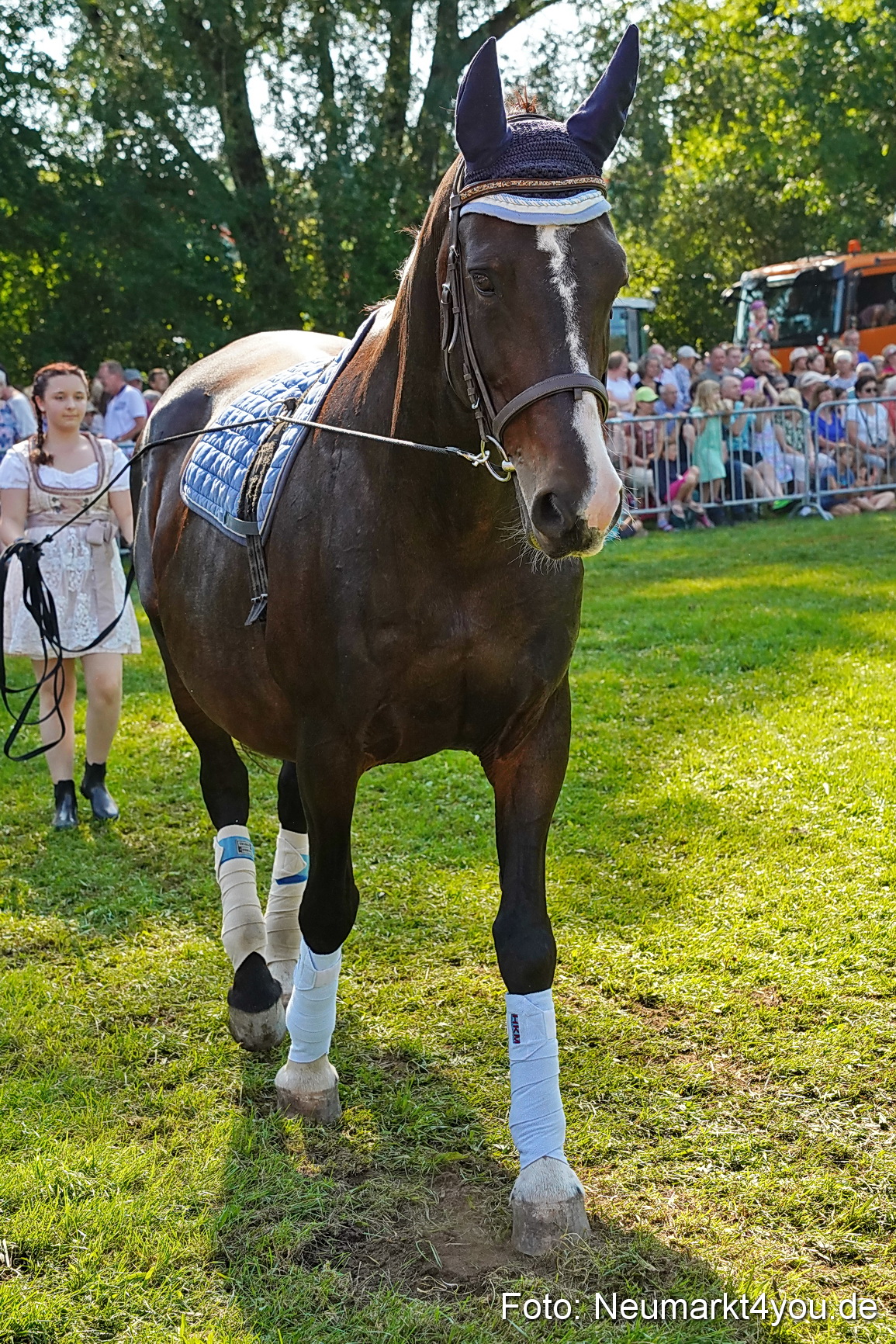 Pferde und Fohlenschau JURA Volksfest 2023 0107