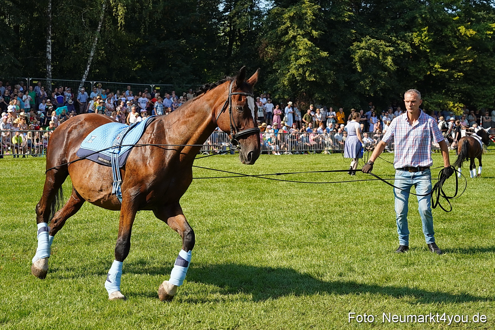 Pferde und Fohlenschau JURA Volksfest 2023 0108